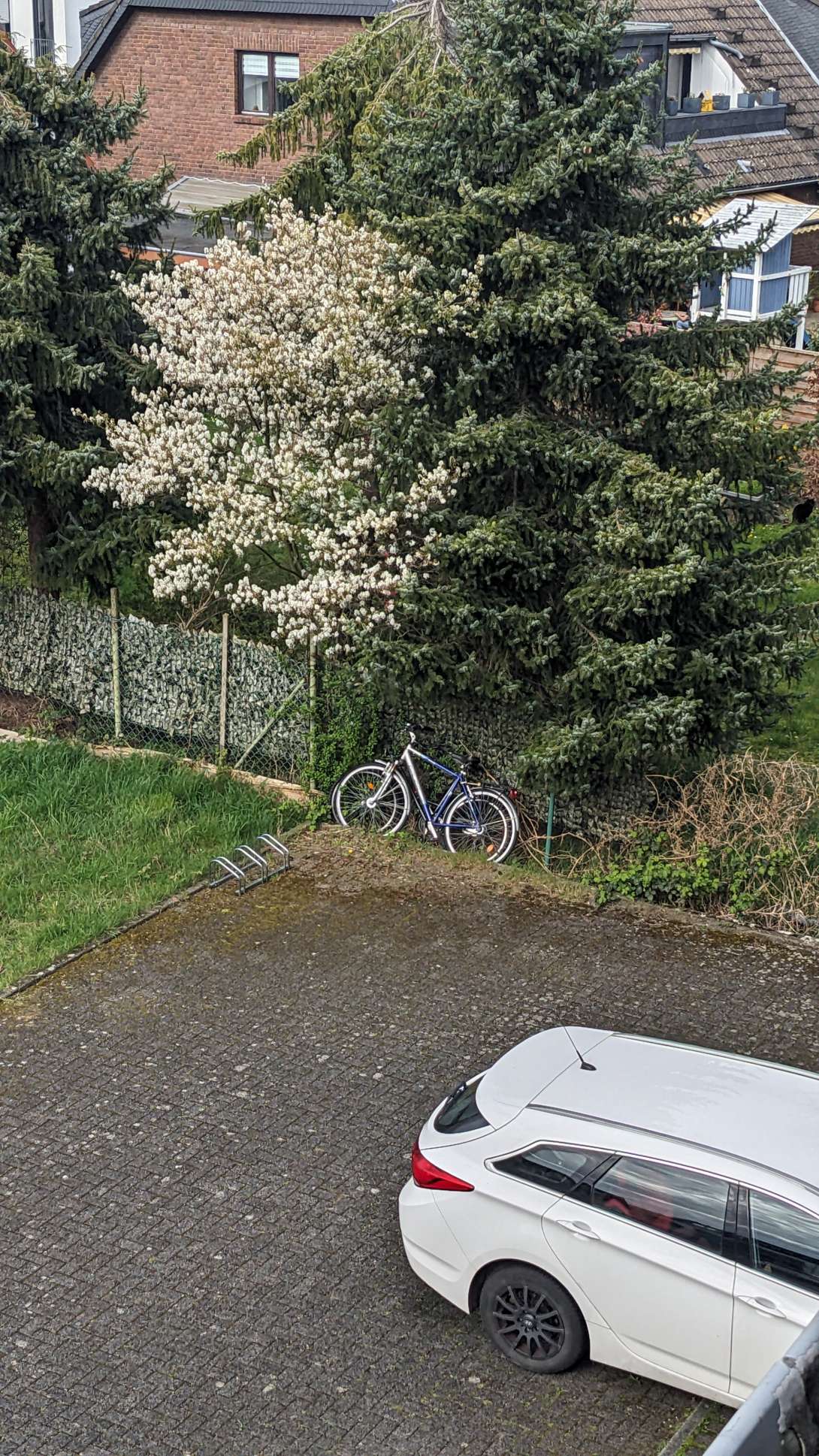 Bild zu gemeldetem Anliegen vom *2024-04-02 18:10:20