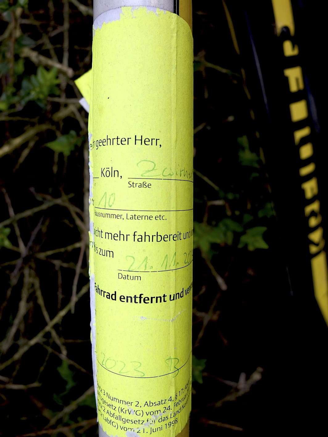 Bild zu gemeldetem Anliegen vom *2024-03-14 11:12:18