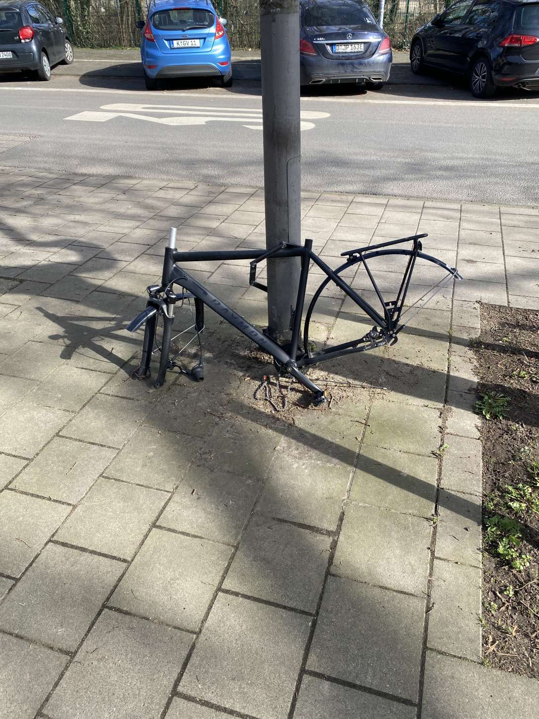 Bild zu gemeldetem Anliegen vom *2024-03-01 19:01:17