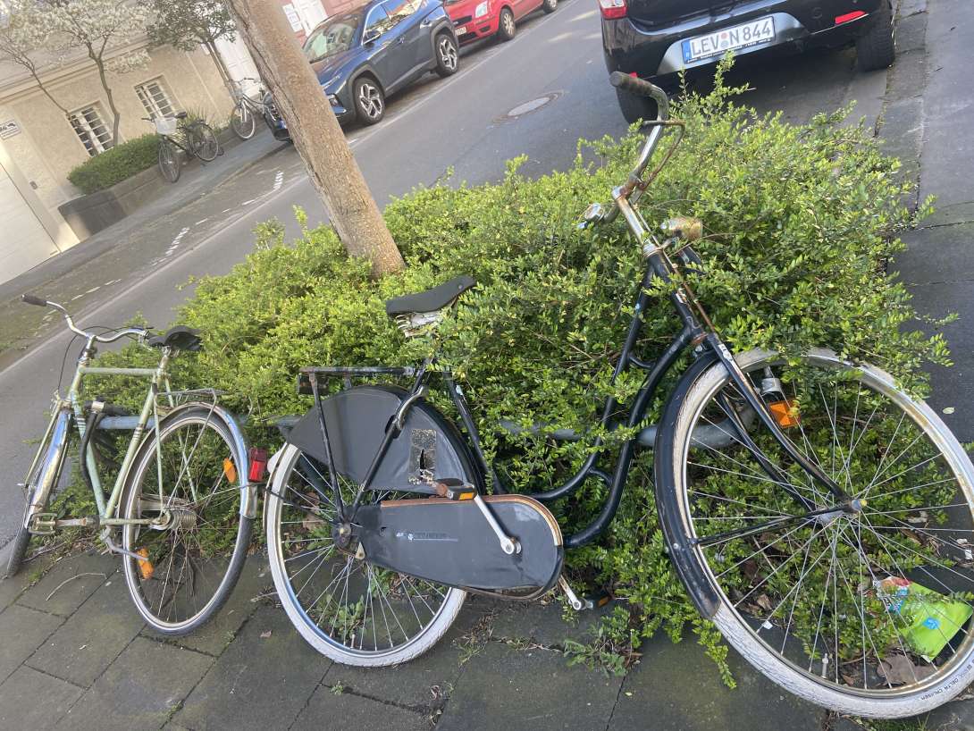 Bild zu gemeldetem Anliegen vom *2024-03-26 14:37:45