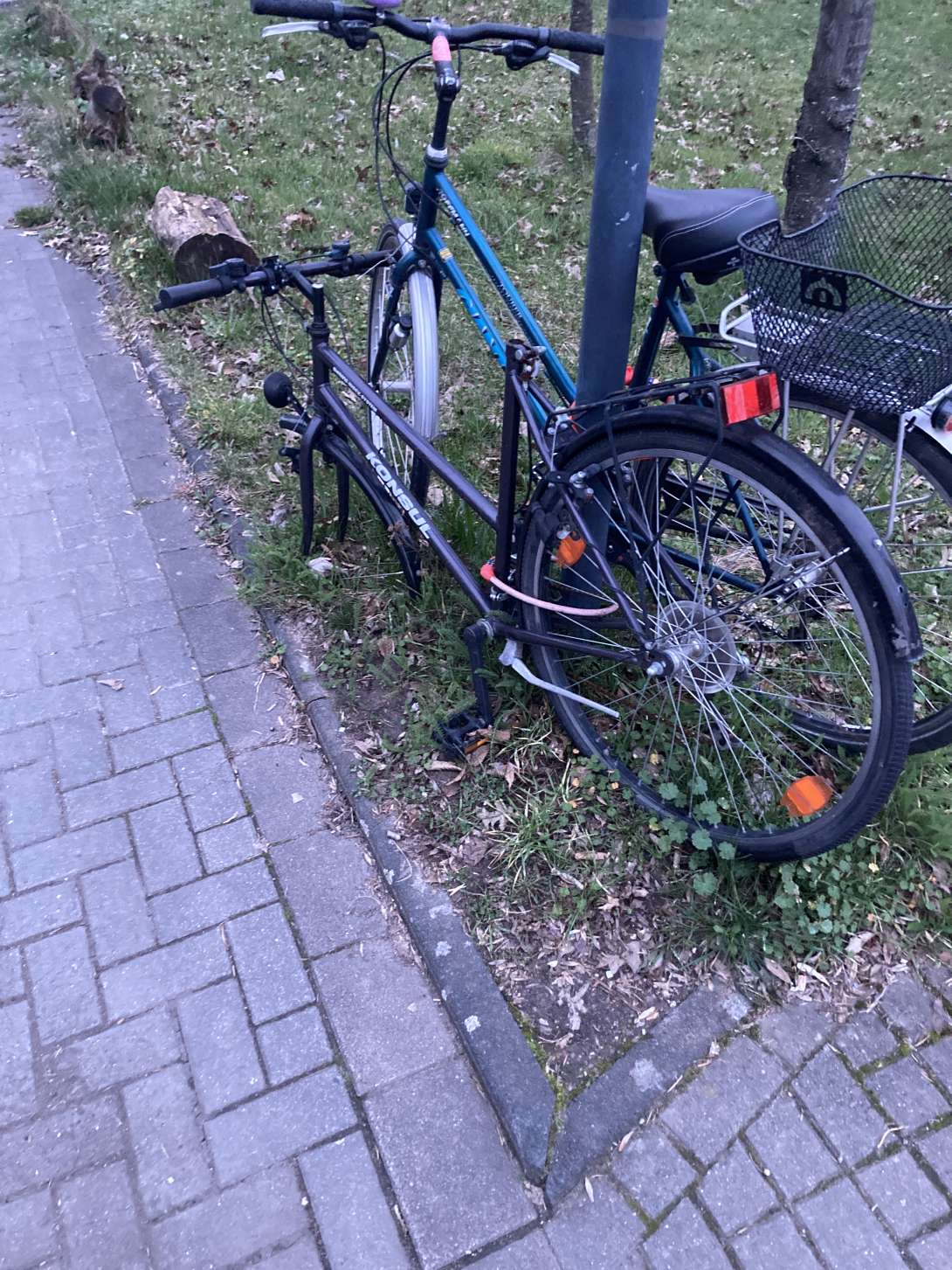 Bild zu gemeldetem Anliegen vom *2024-05-08 09:31:43