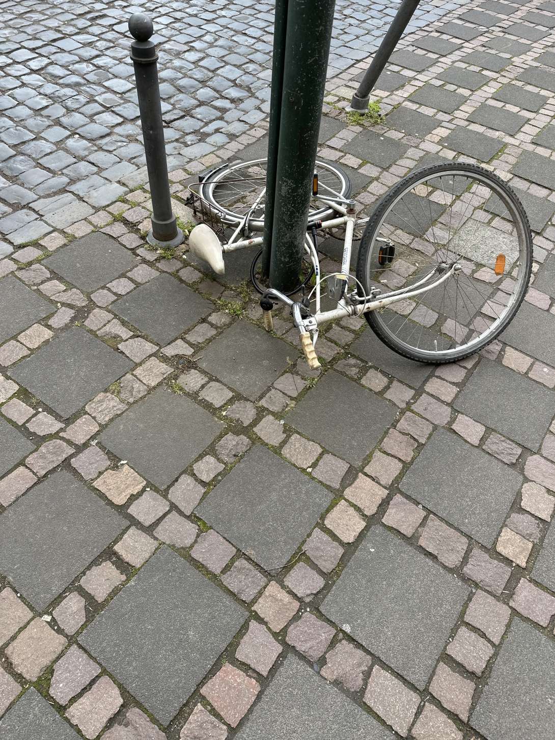 Bild zu gemeldetem Anliegen vom *2024-03-07 13:29:00