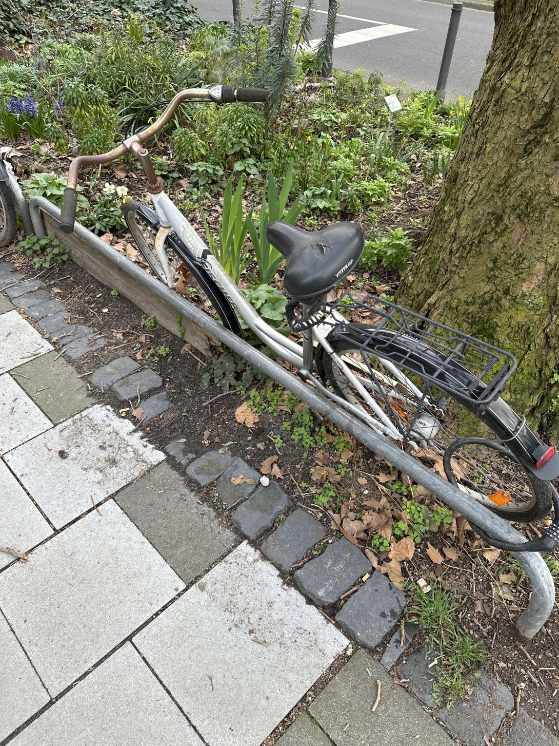 Bild zu gemeldetem Anliegen vom *2024-03-19 09:38:41