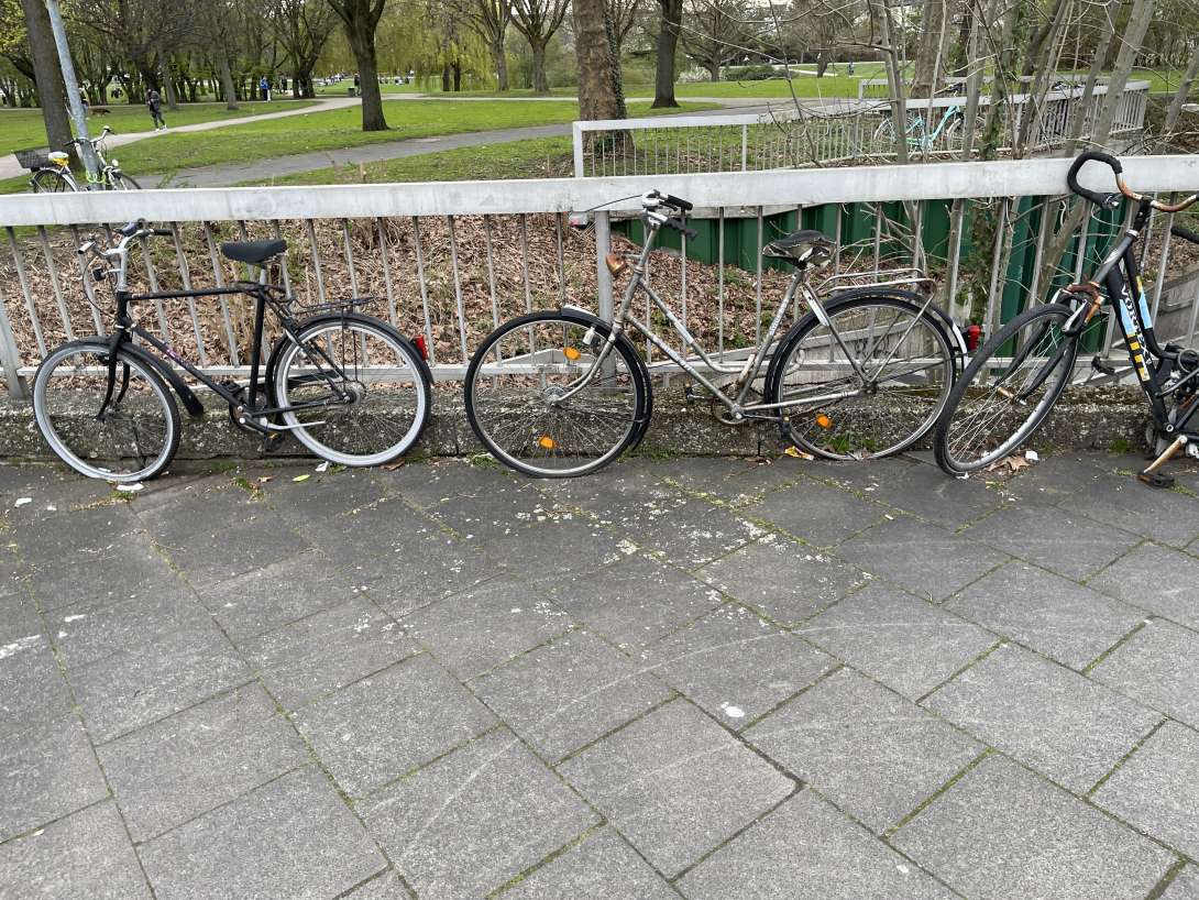 Bild zu gemeldetem Anliegen vom *2024-03-29 10:39:36