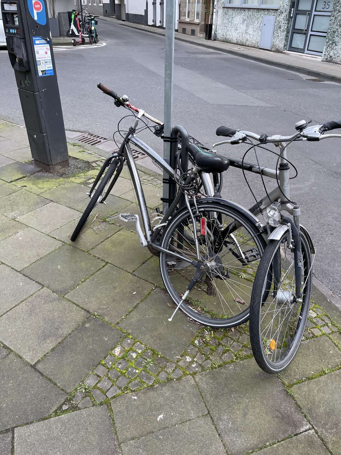 Bild zu gemeldetem Anliegen vom *2024-03-21 08:33:46