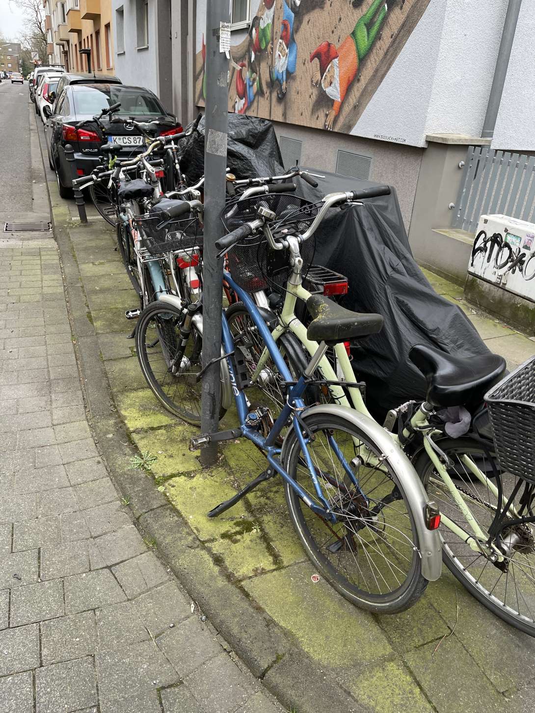 Bild zu gemeldetem Anliegen vom *2024-03-22 08:41:28