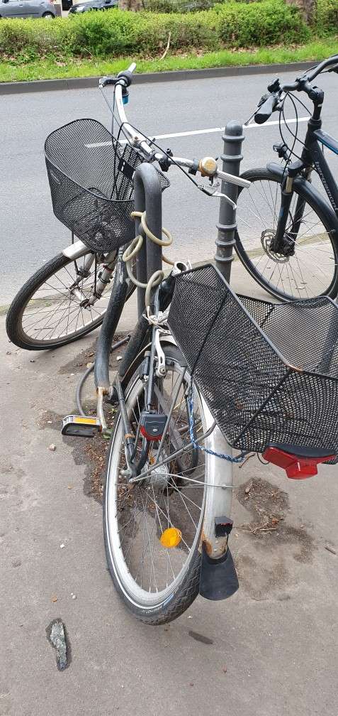 Bild zu gemeldetem Anliegen vom *2024-03-27 13:48:00