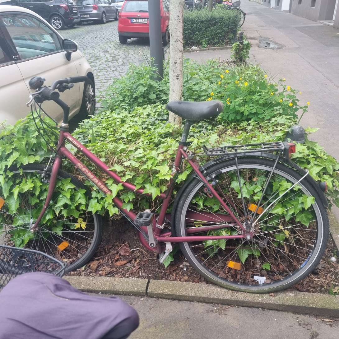 Bild zu gemeldetem Anliegen vom *2024-04-15 11:05:29