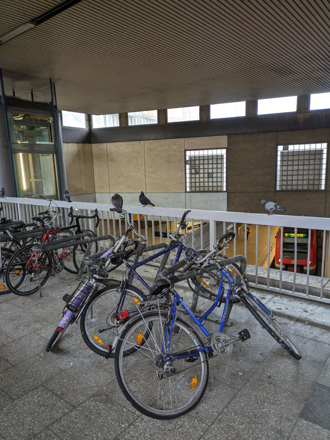 Bild zu gemeldetem Anliegen vom *2024-05-14 13:32:21