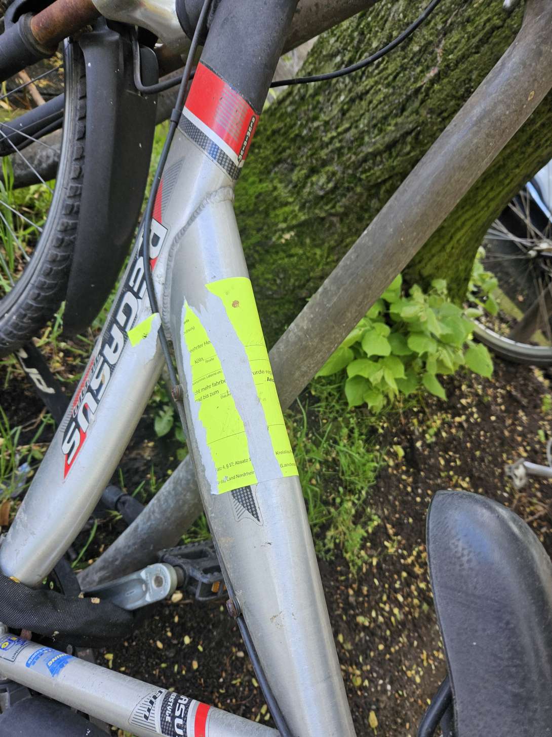 Bild zu gemeldetem Anliegen vom *2024-04-22 07:42:58