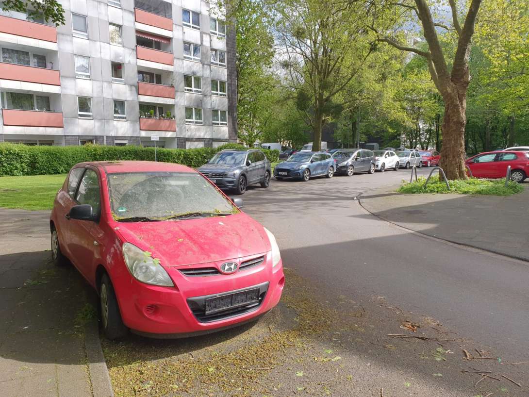 Bild zu gemeldetem Anliegen vom *2024-04-19 09:14:41