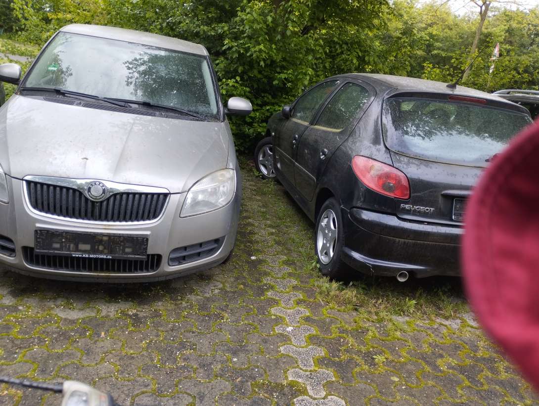 Bild zu gemeldetem Anliegen vom *2024-04-25 10:22:42