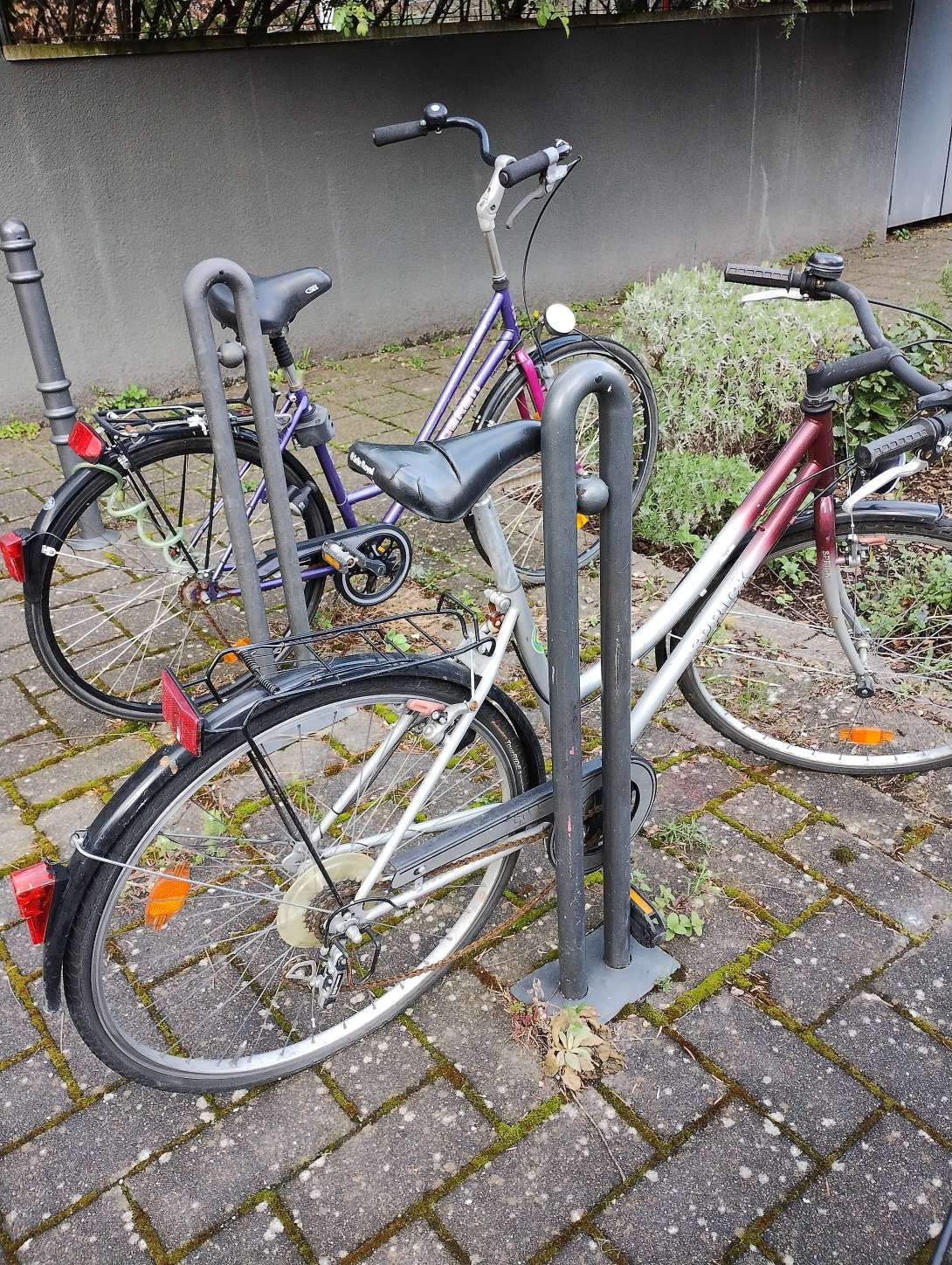 Bild zu gemeldetem Anliegen vom *2024-04-05 10:05:48