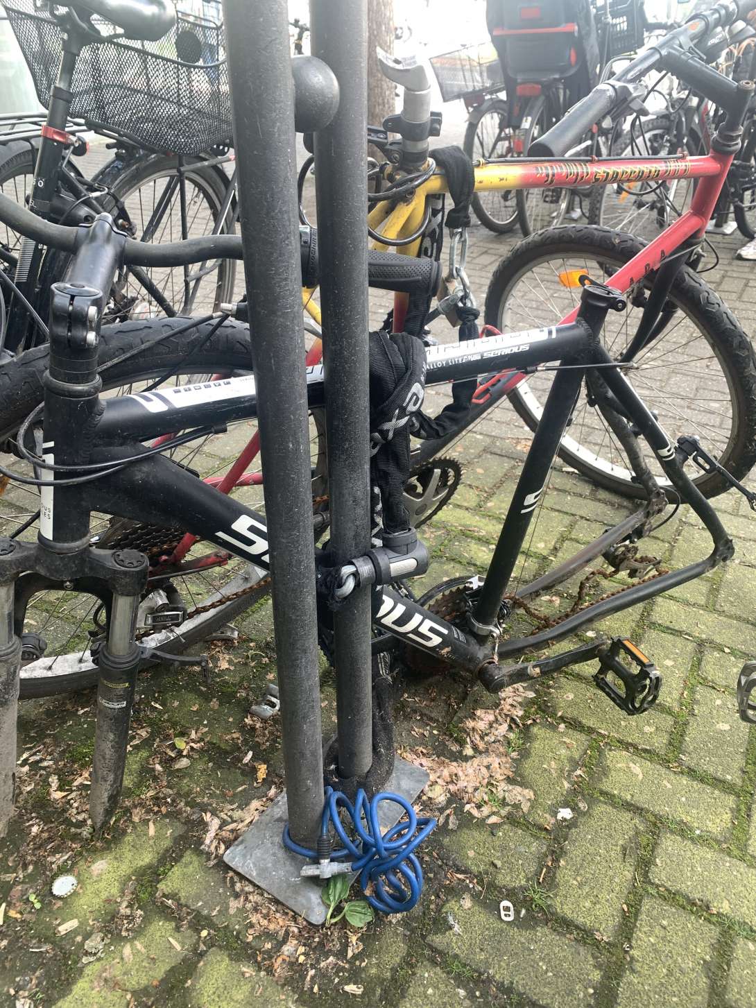 Bild zu gemeldetem Anliegen vom *2024-04-30 09:23:35