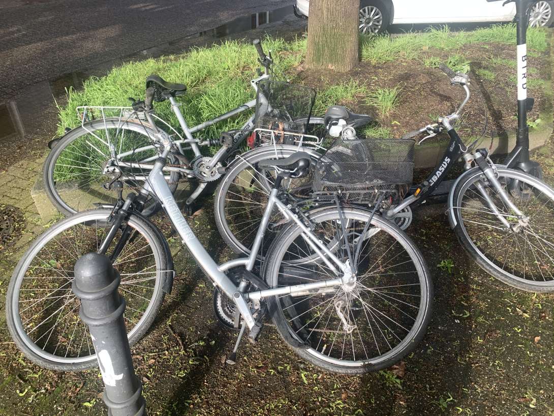 Bild zu gemeldetem Anliegen vom *2024-04-29 20:20:34