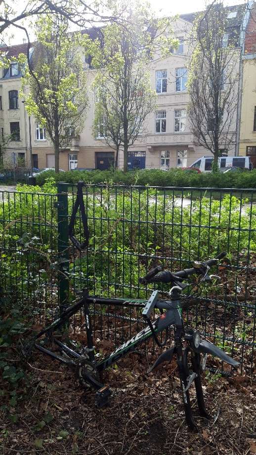 Bild zu gemeldetem Anliegen vom *2024-04-09 12:04:59