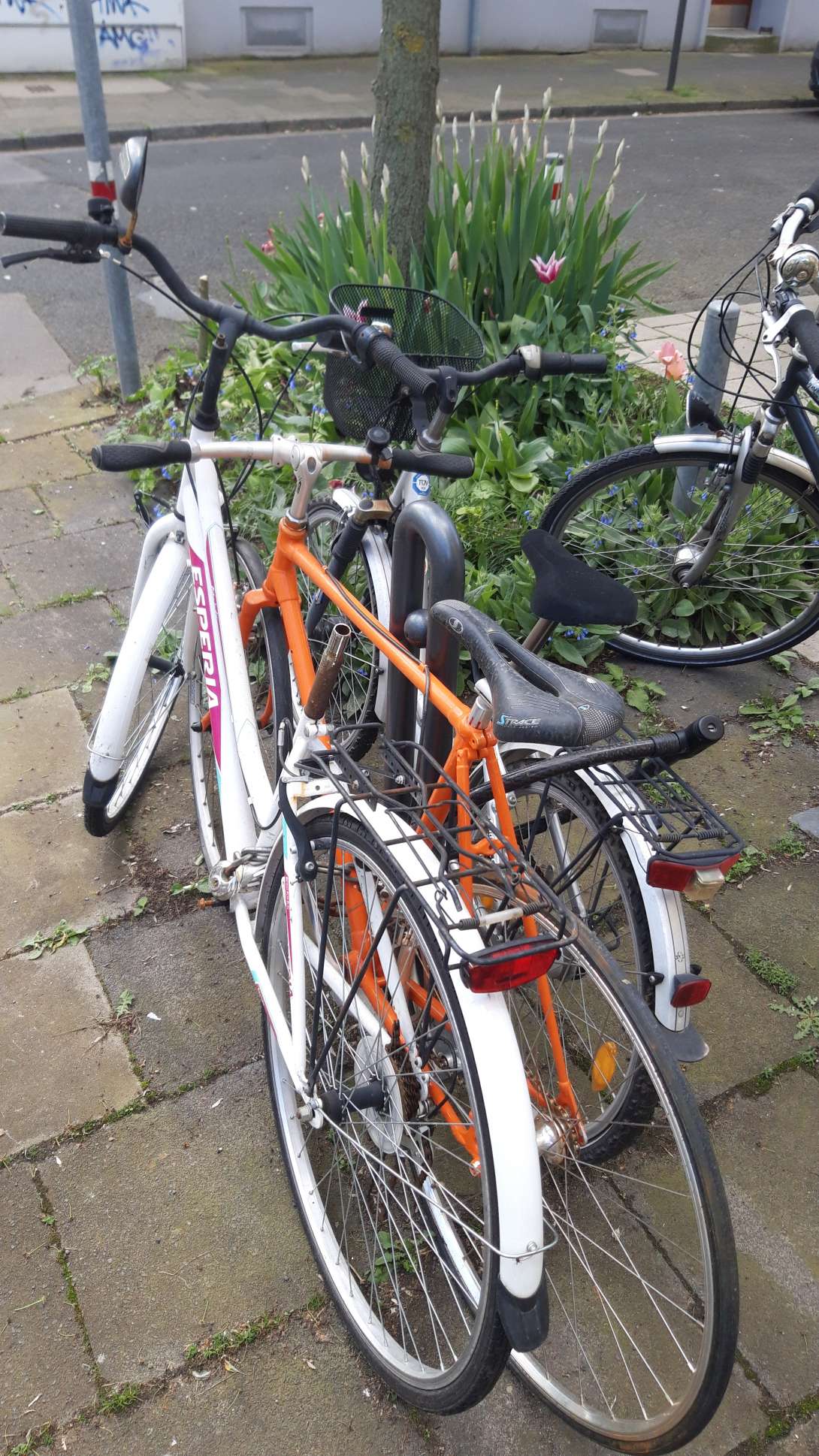 Bild zu gemeldetem Anliegen vom *2024-04-11 10:17:21