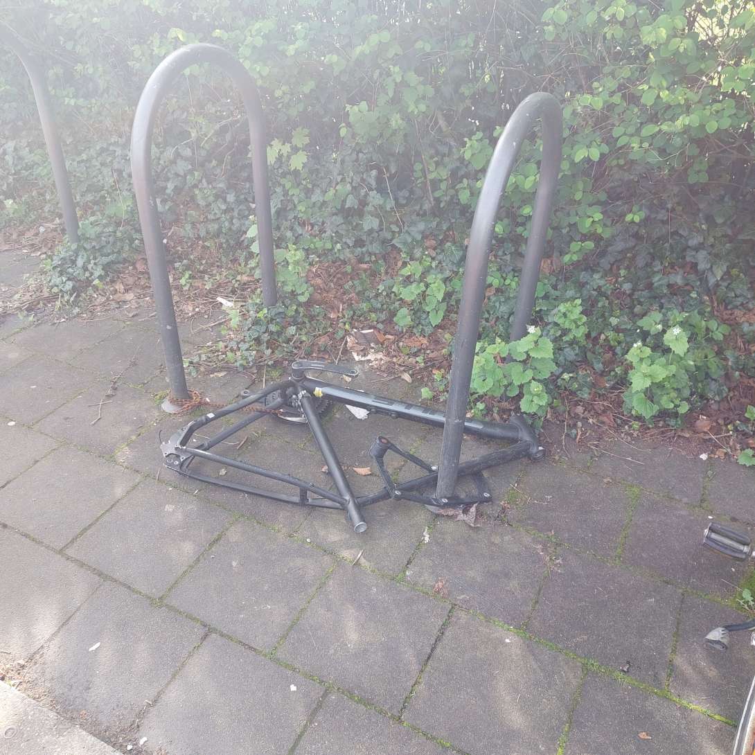 Bild zu gemeldetem Anliegen vom *2024-04-15 10:46:36