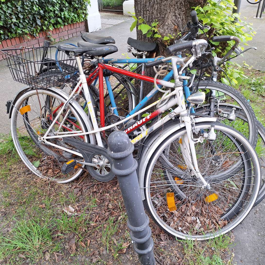 Bild zu gemeldetem Anliegen vom *2024-04-15 08:43:39