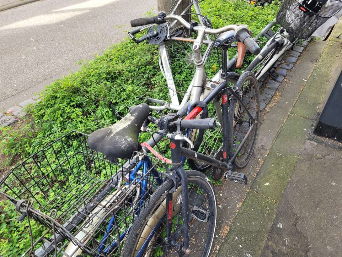 Bild zu gemeldetem Anliegen vom *2024-04-15 06:16:13