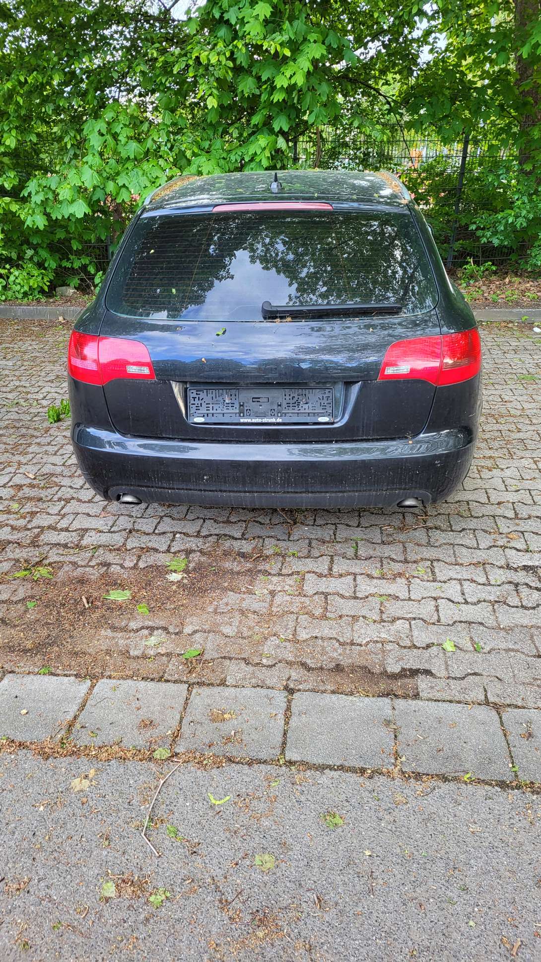 Bild zu gemeldetem Anliegen vom *2024-04-19 09:45:15