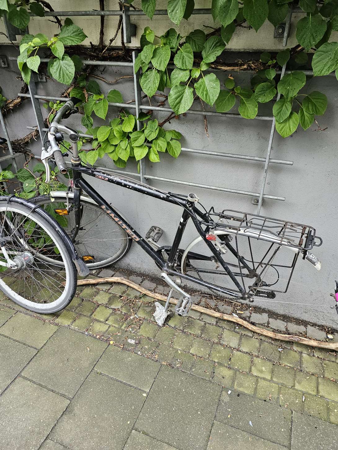 Bild zu gemeldetem Anliegen vom *2024-04-23 11:48:25