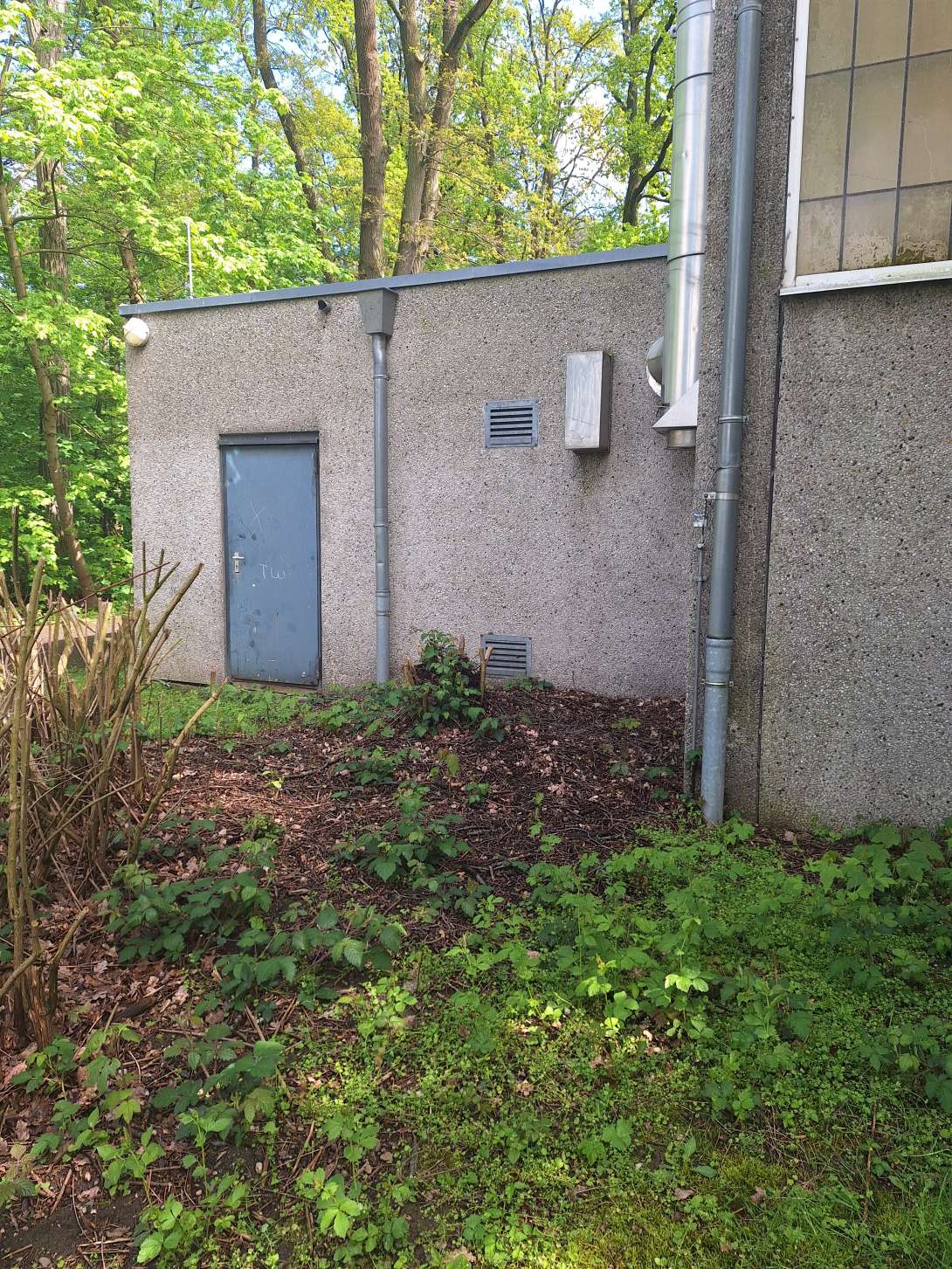 Bild zu gemeldetem Anliegen vom *2024-04-22 08:43:31