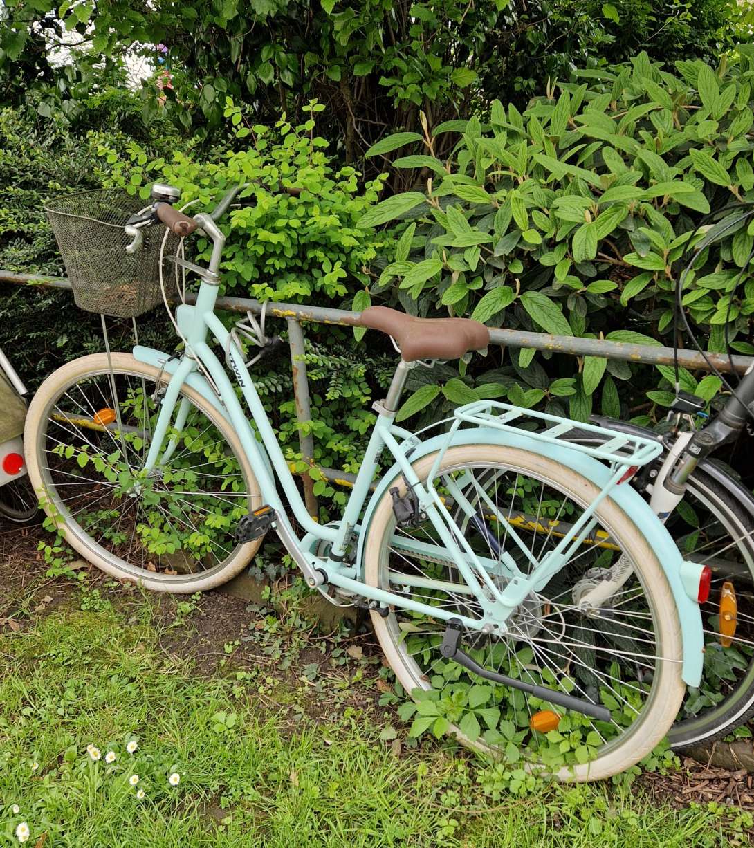 Bild zu gemeldetem Anliegen vom *2024-04-29 19:08:21