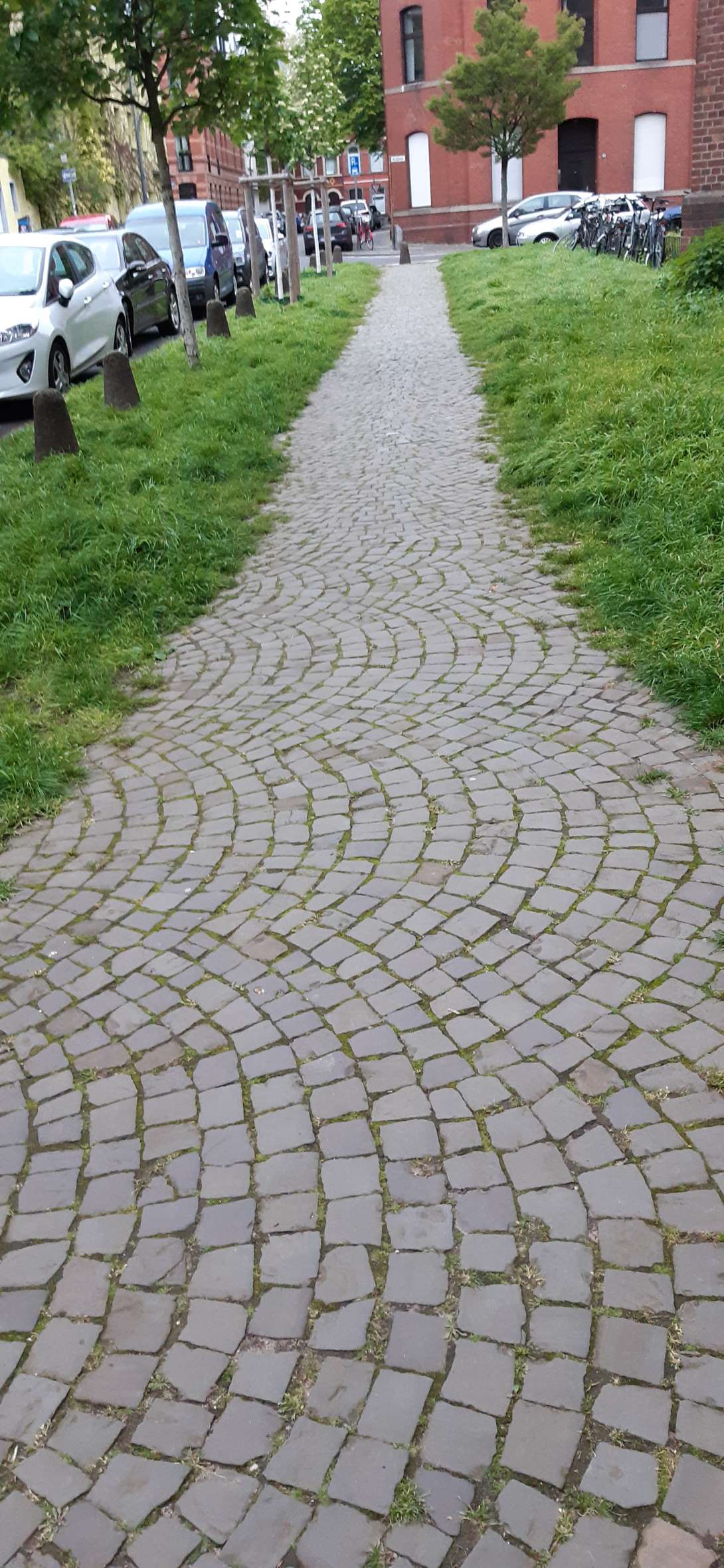 Bild zu gemeldetem Anliegen vom *2024-04-26 09:10:10