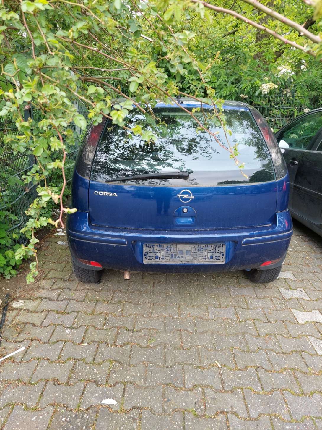 Bild zu gemeldetem Anliegen vom *2024-04-29 07:41:10