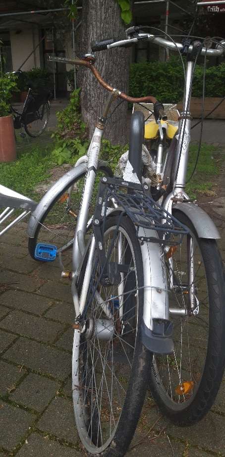 Bild zu gemeldetem Anliegen vom *2024-04-29 07:21:03