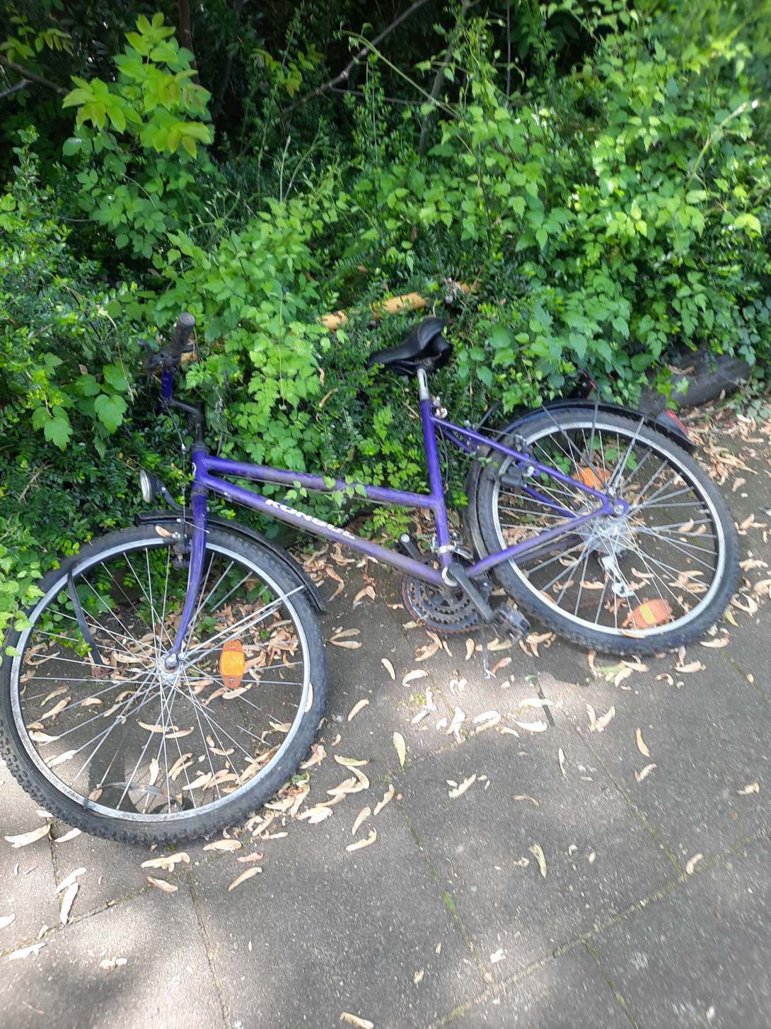 Bild zu gemeldetem Anliegen vom *2024-04-30 21:08:50