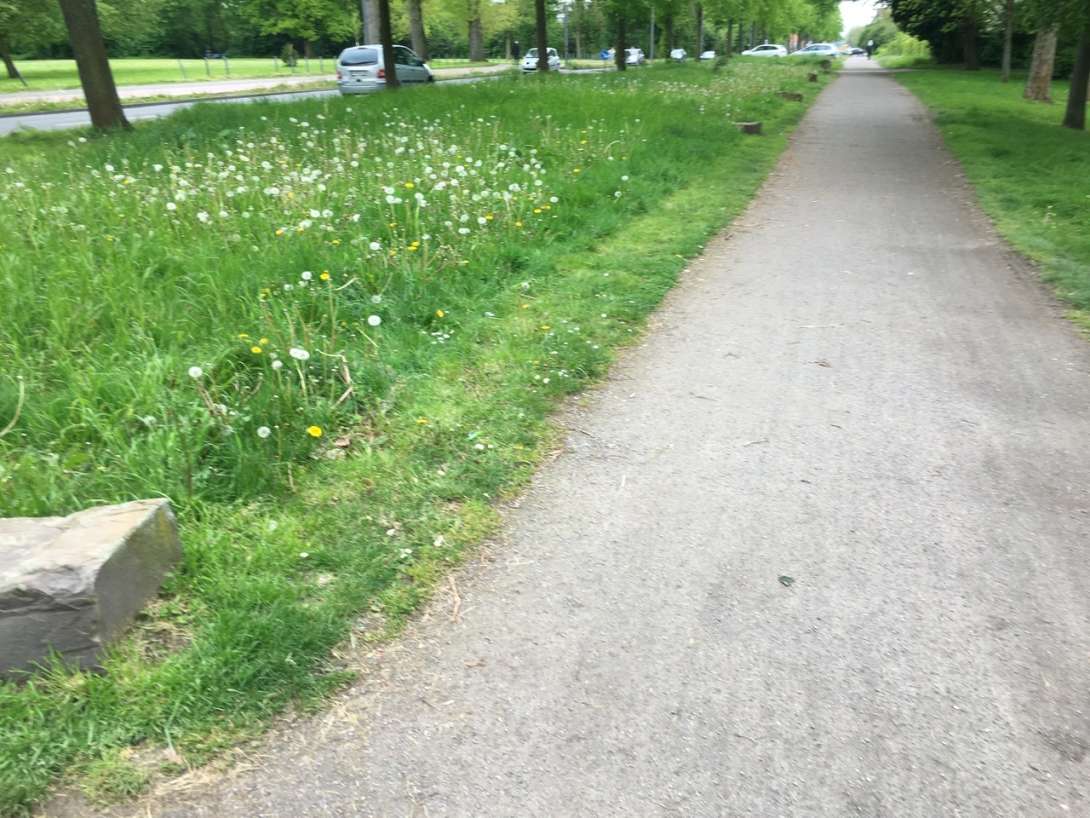 Bild zu gemeldetem Anliegen vom *2024-04-28 23:10:32
