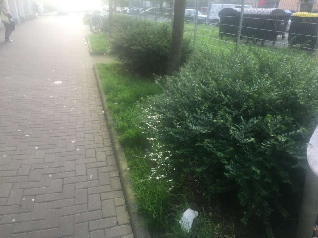 Bild zu gemeldetem Anliegen vom *2024-04-25 01:52:43