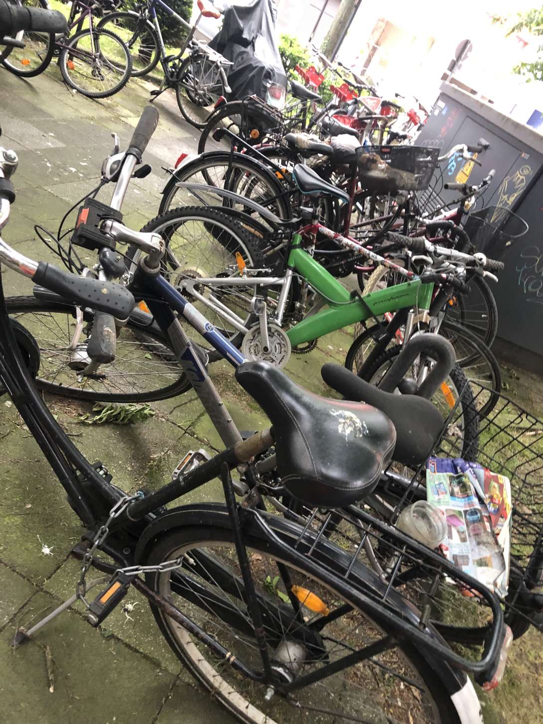 Bild zu gemeldetem Anliegen vom *2024-04-30 13:00:31