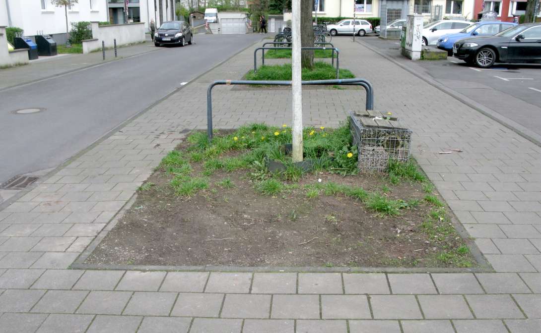 Bild zu gemeldetem Anliegen vom *2024-04-01 19:11:08