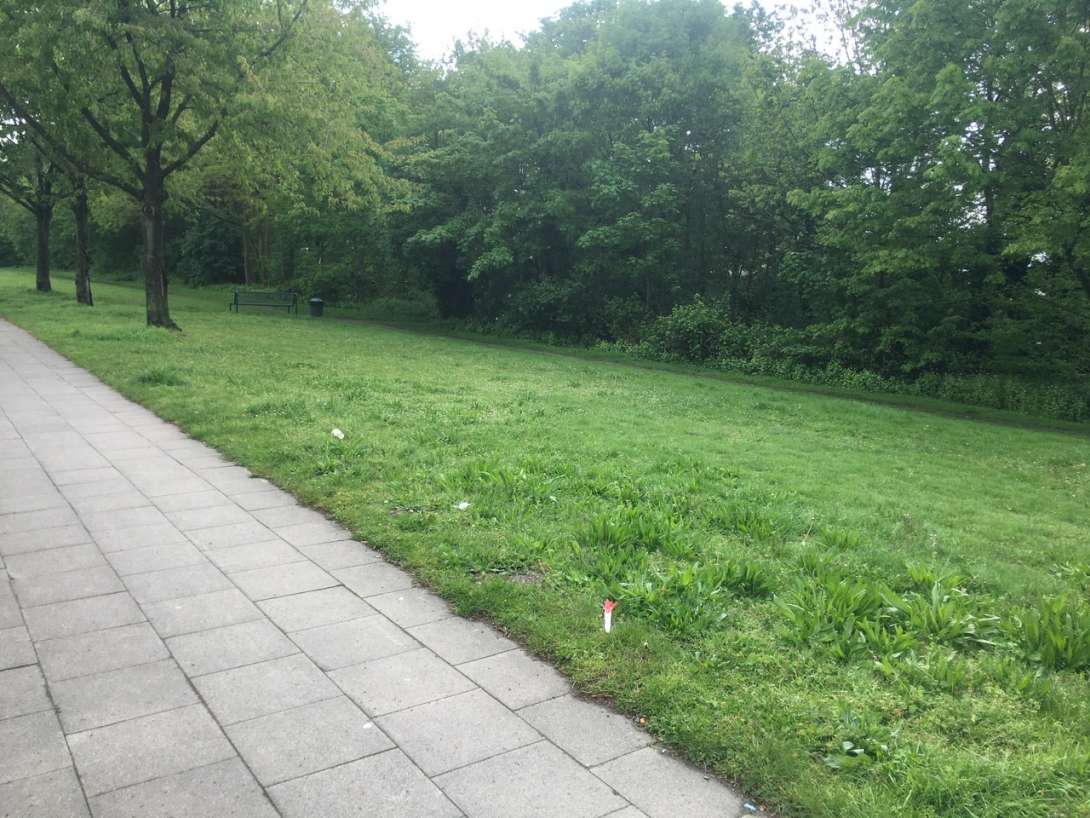 Bild zu gemeldetem Anliegen vom *2024-04-26 22:33:56