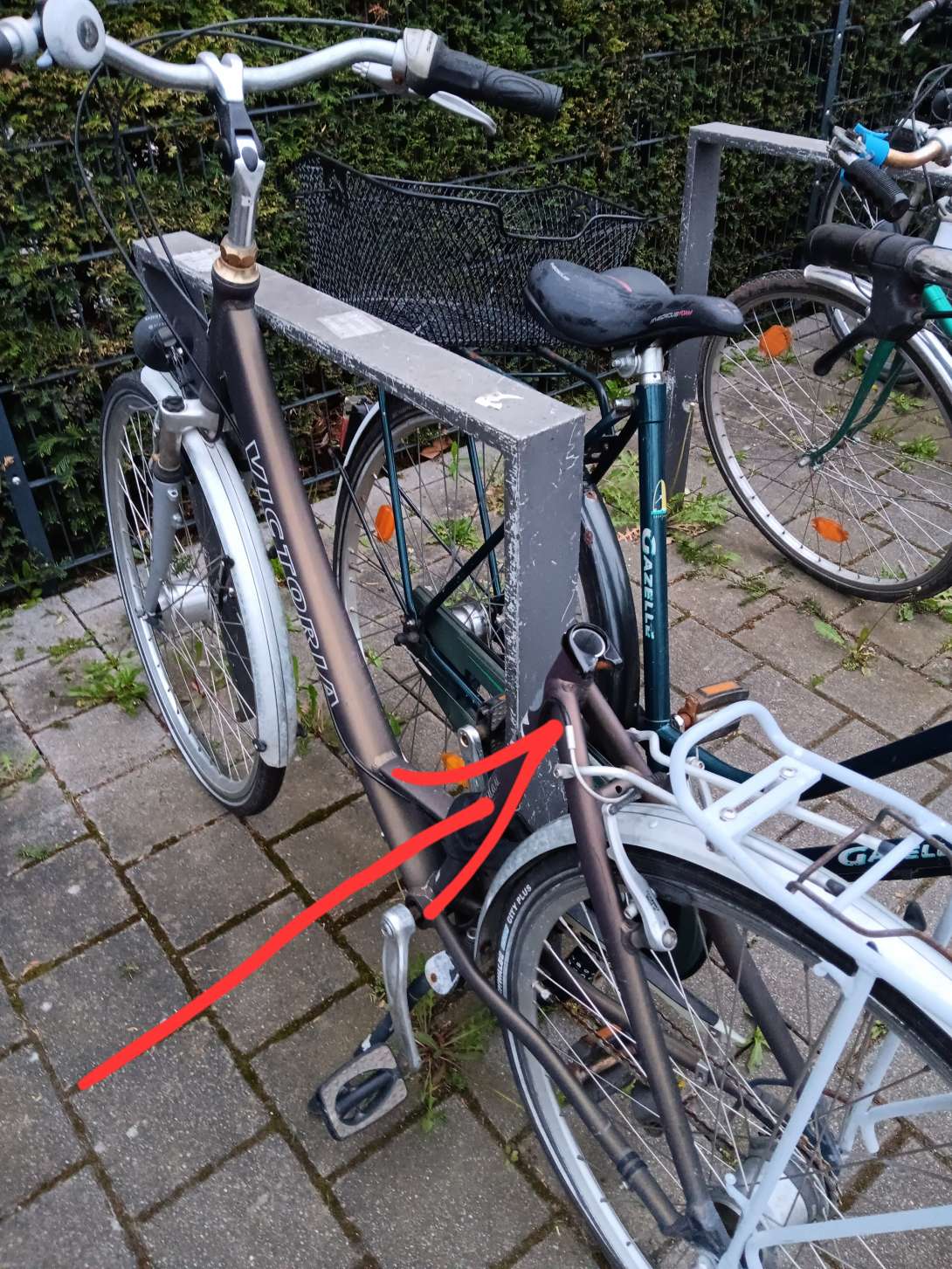 Bild zu gemeldetem Anliegen vom *2024-04-15 10:25:35