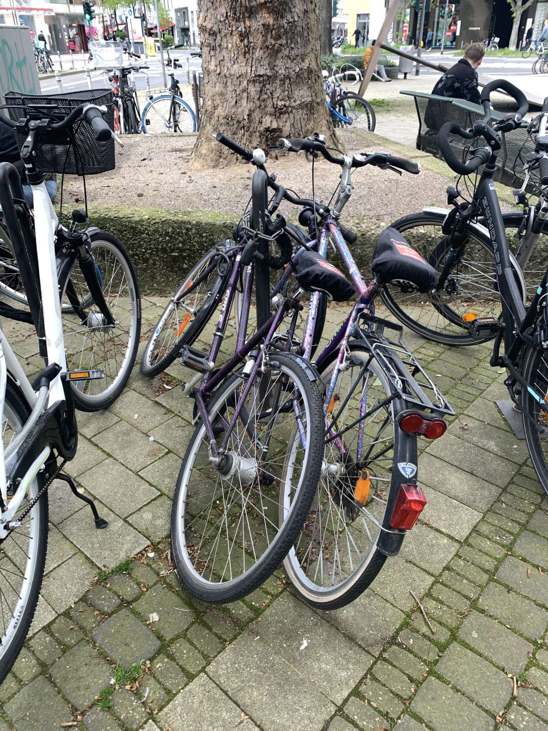 Bild zu gemeldetem Anliegen vom *2024-04-10 13:46:37