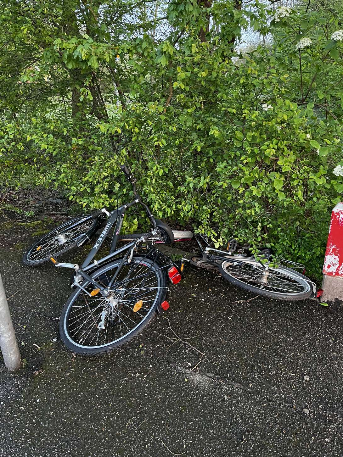 Bild zu gemeldetem Anliegen vom *2024-04-05 10:00:58