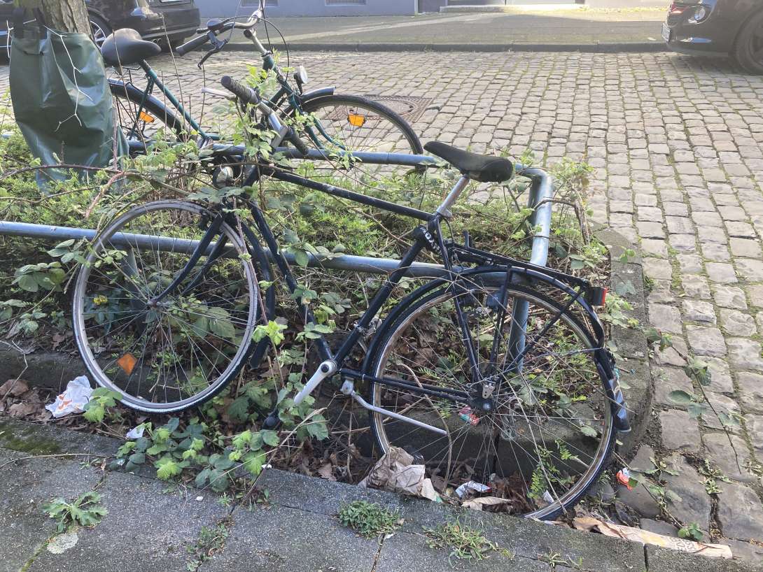 Bild zu gemeldetem Anliegen vom *2024-04-08 08:15:20