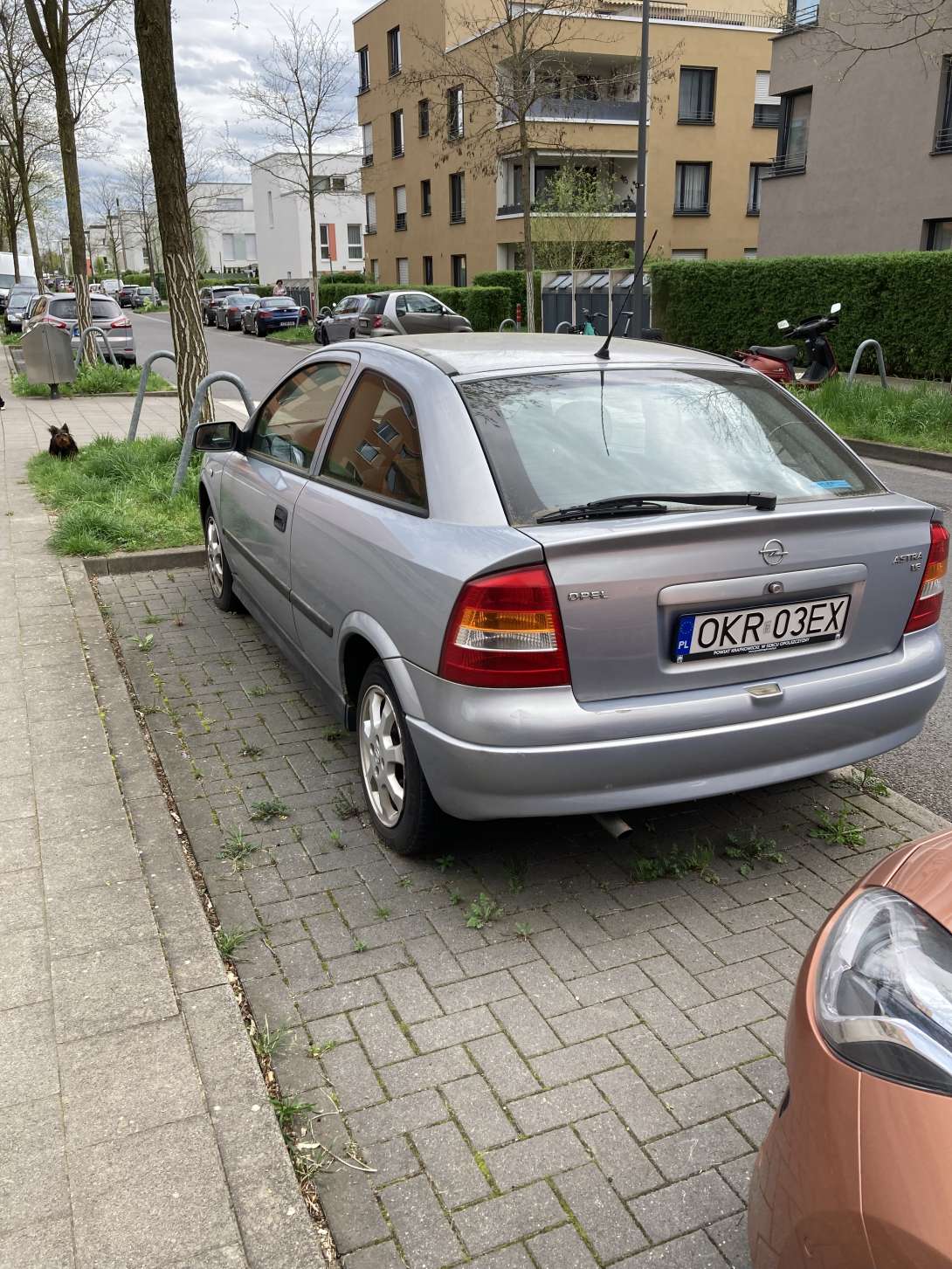 Bild zu gemeldetem Anliegen vom *2024-04-09 07:45:23