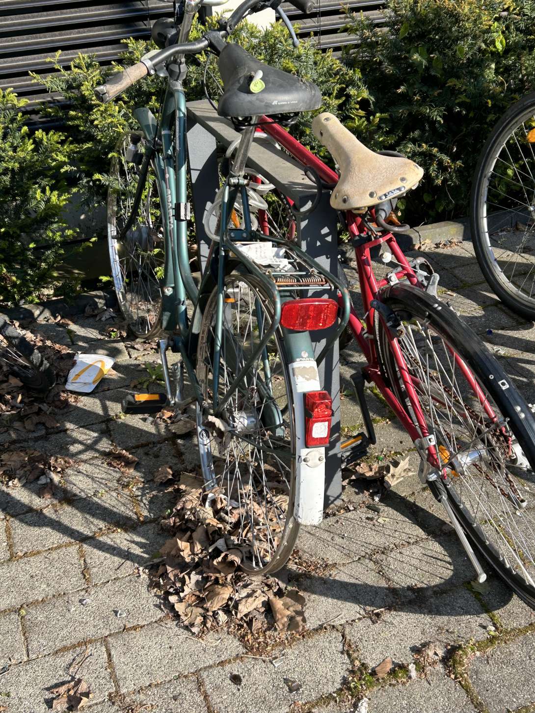 Bild zu gemeldetem Anliegen vom *2024-04-23 09:14:36