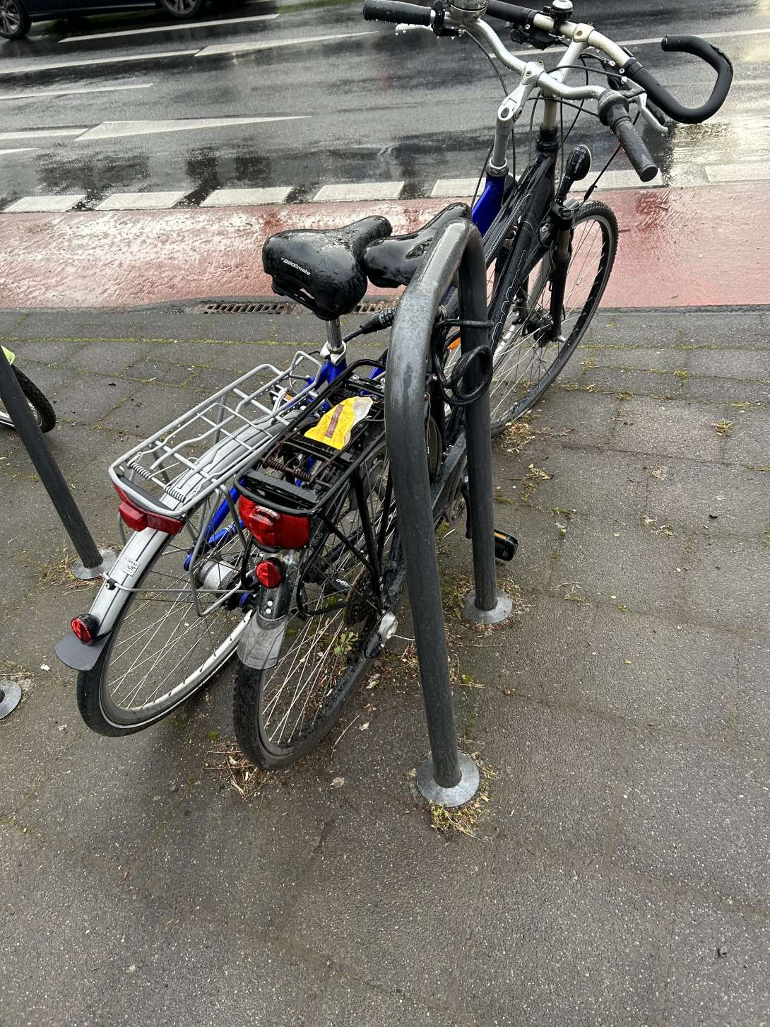 Bild zu gemeldetem Anliegen vom *2024-04-29 20:35:19