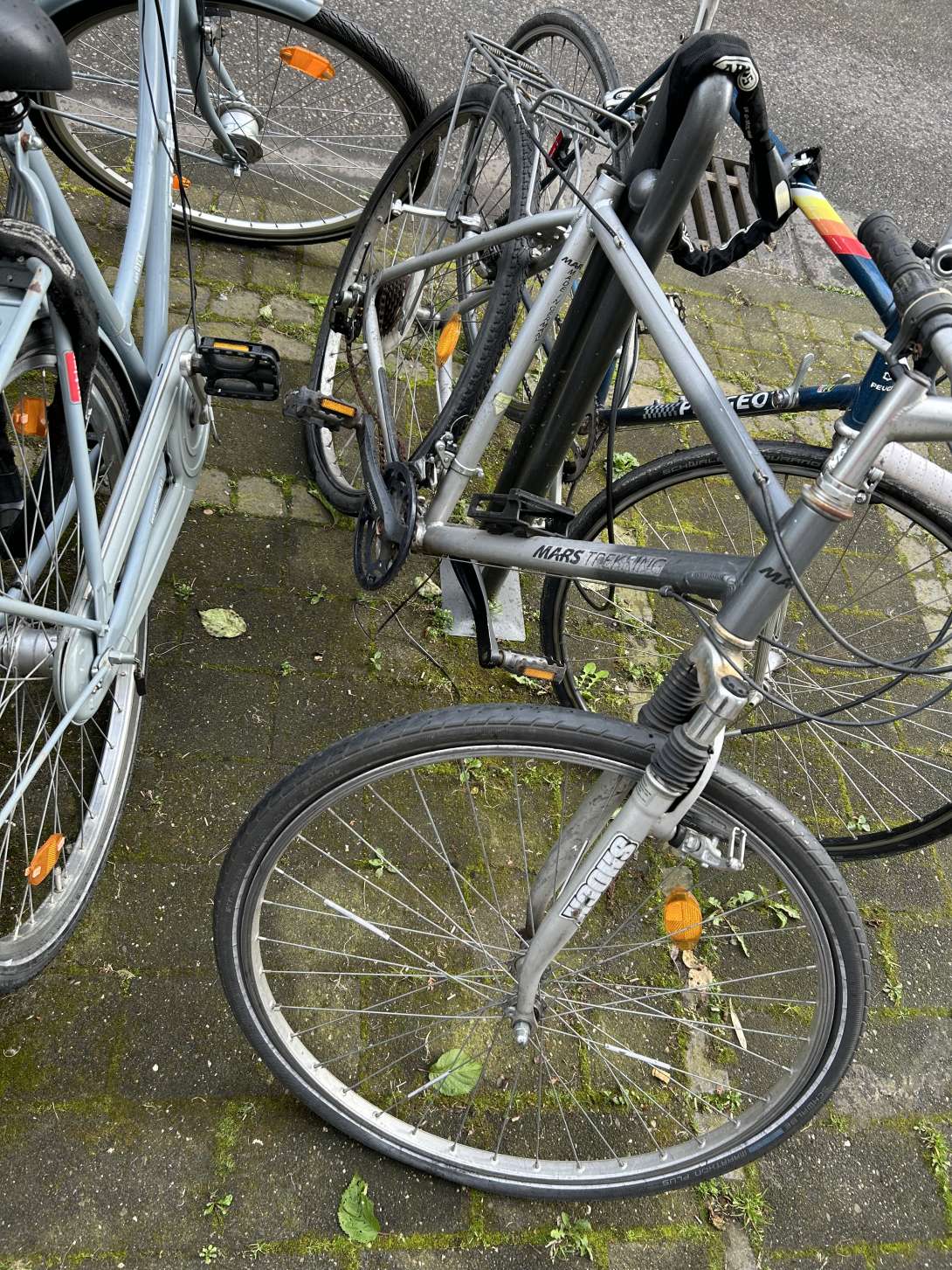 Bild zu gemeldetem Anliegen vom *2024-04-30 20:01:23