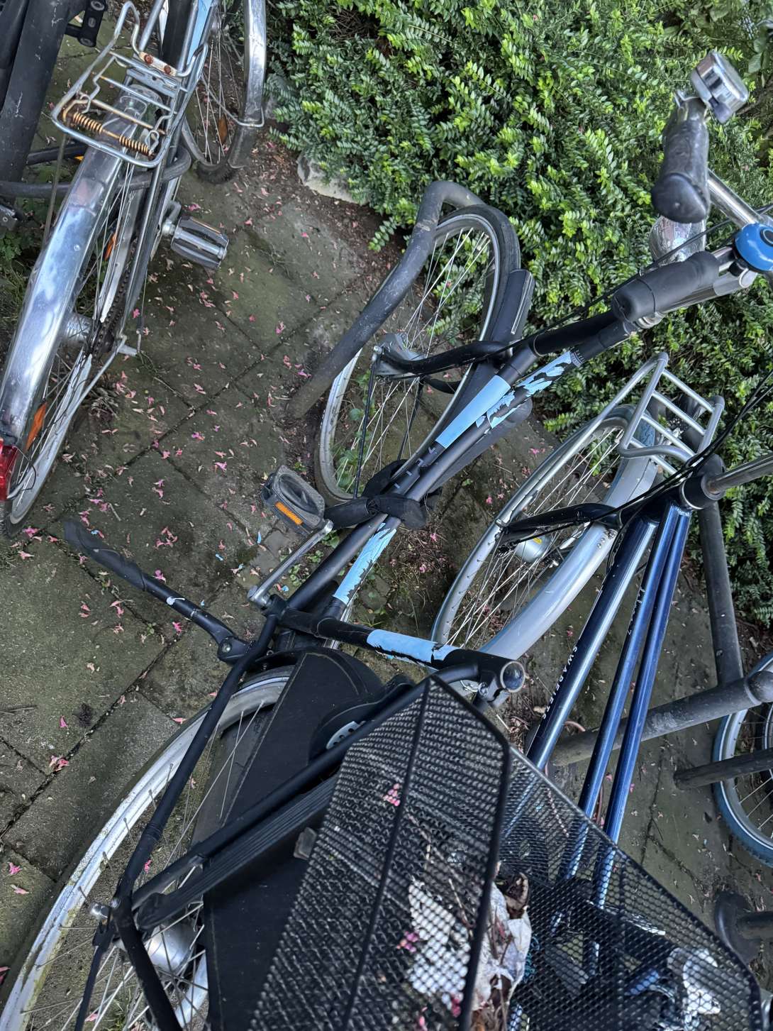 Bild zu gemeldetem Anliegen vom *2024-04-30 09:36:16