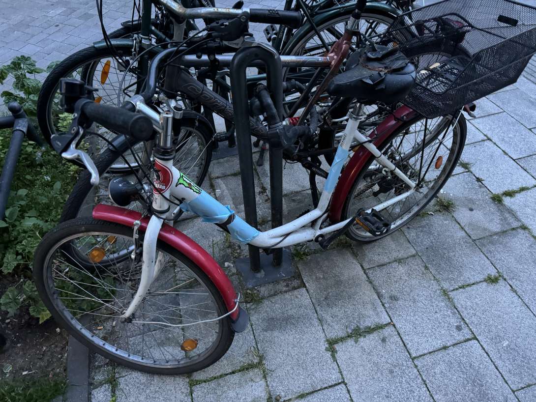 Bild zu gemeldetem Anliegen vom *2024-04-30 09:44:16