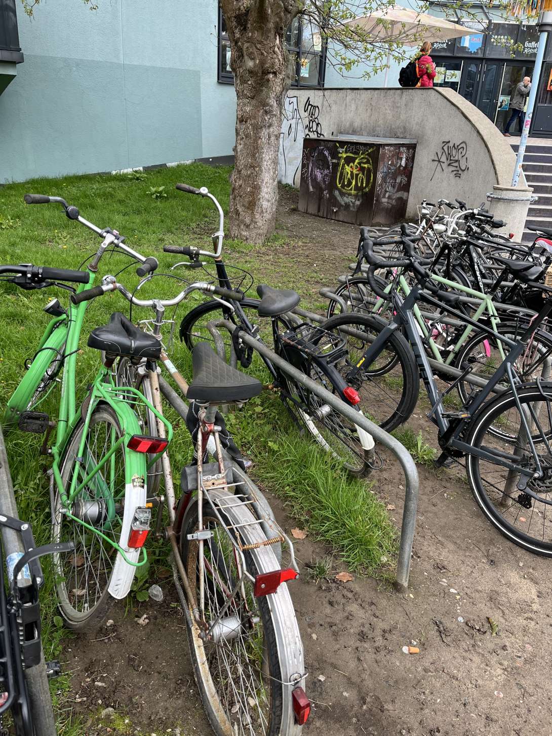 Bild zu gemeldetem Anliegen vom *2024-04-02 14:52:24