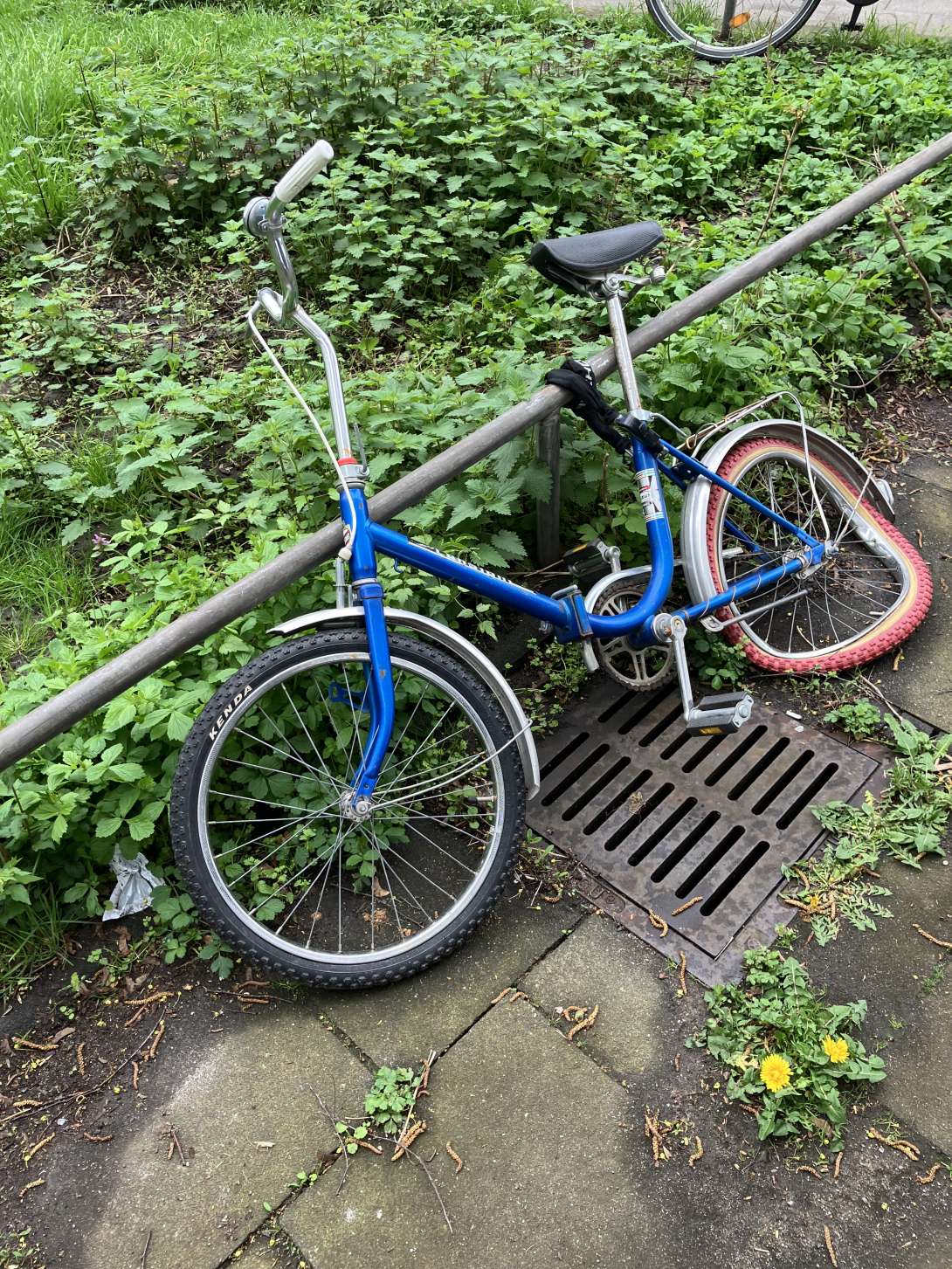 Bild zu gemeldetem Anliegen vom *2024-04-08 08:27:34