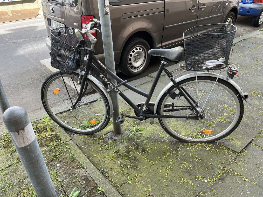 Bild zu gemeldetem Anliegen vom *2024-04-15 12:29:41